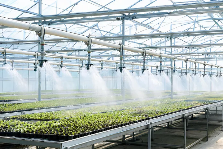 Protected crop irrigation